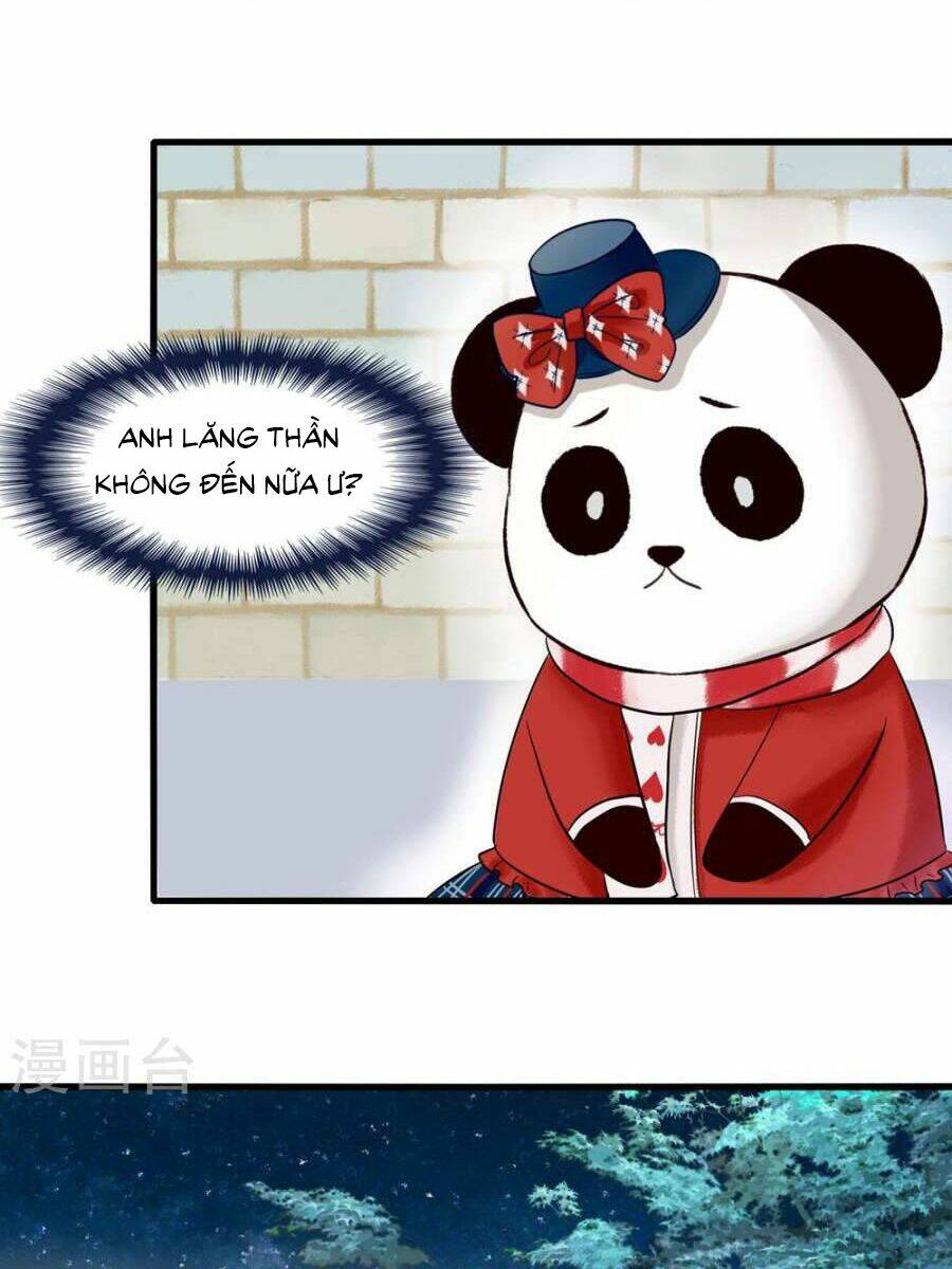 tôi bị gấu trúc nhìn trúng rồi chapter 5 17