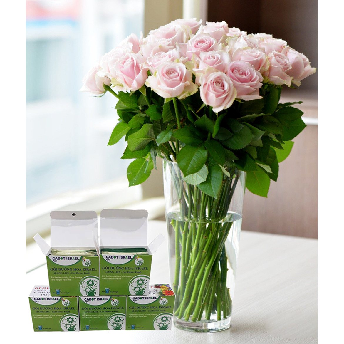 Dinh Dưỡng Giữ Hoa Hồng cắm bình Lâu Tàn - Food For Cut Flowers giúp hoa luôn tươi mớ, cứng cáp gấp 2 lần và trong 14 ngày không thối nước hay cắt tỉa gốc hoa, nhập khẩu Israel