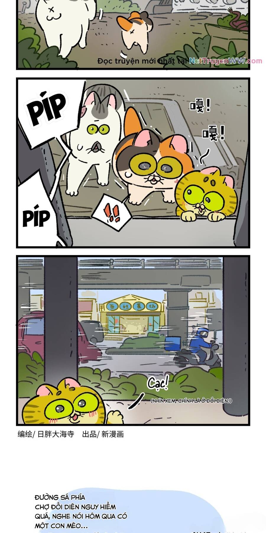 a mãn và mạch trà chapter 187 8