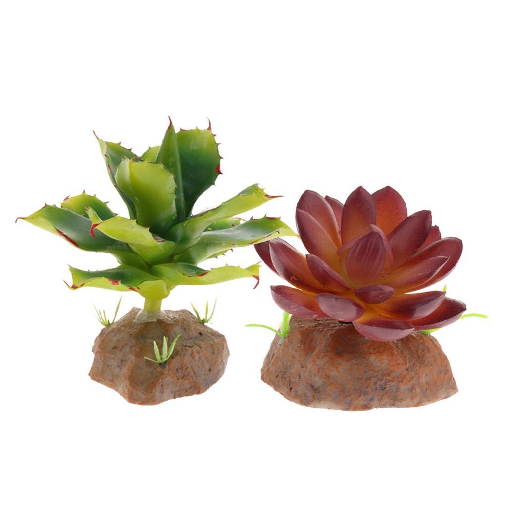 2 Piece Succulent Plant with Resin Base Reptile Terrarium Vivarium Ornament