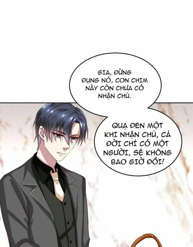 mộ thiếu, lão bà ngươi trọng sinh lại rồi! chapter 50 12