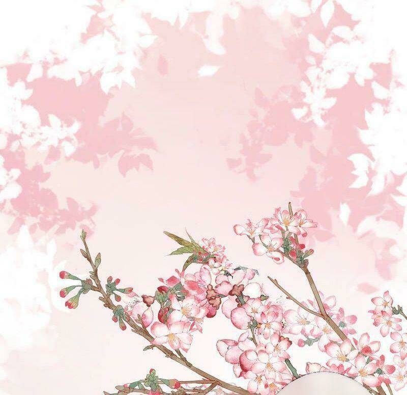 quận chúa vững vàng, thiết lập nhân vật không thể vỡ chapter 0 27