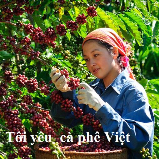 Cà Phê Arabica Cao Cấp Pha Cold brew, drip, pour over, mokapot, Special Coffee, hàng nhập khẩu, nhặt tay của Nghệ Nhân.