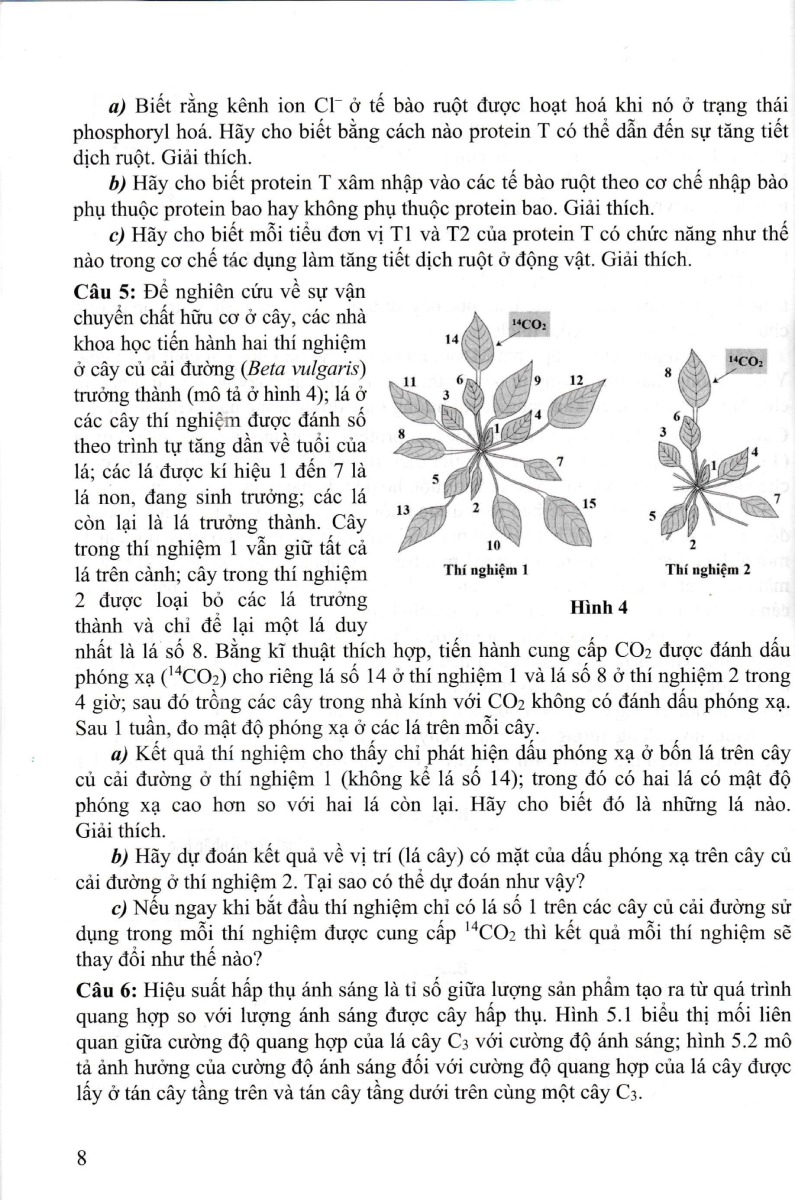 Master Of Biology Questions - Hành Trình Tới Olympic Sinh Học_GDDT