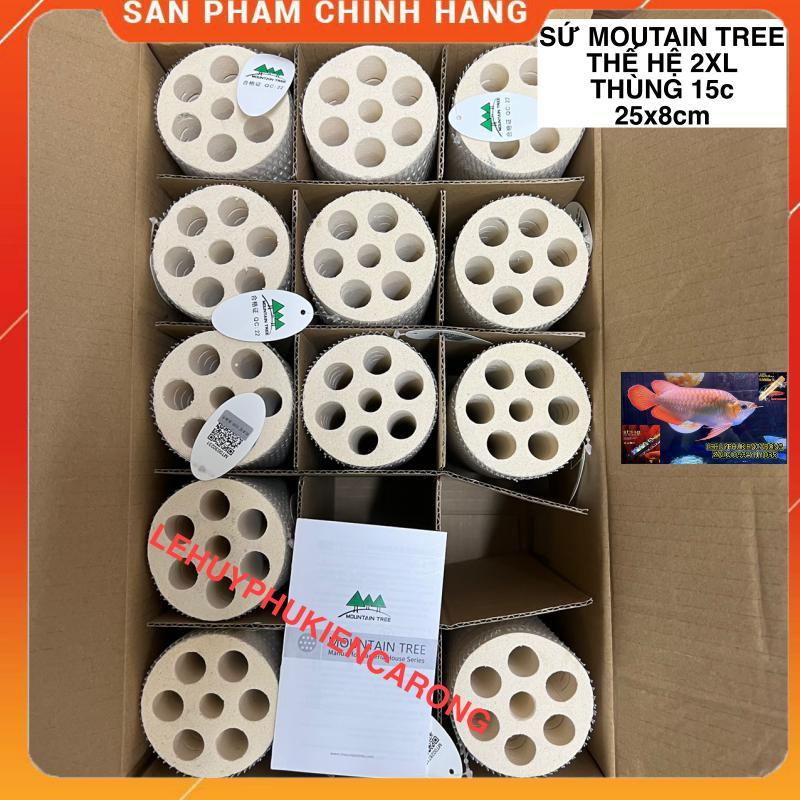 Sứ Củ Sen Thế Hệ 2 Mountain Tree -Size 25cm x 8cm