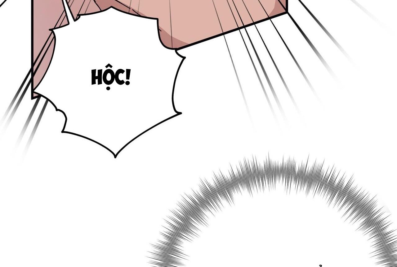 chàng dâu nhà họ kang chapter 46 50