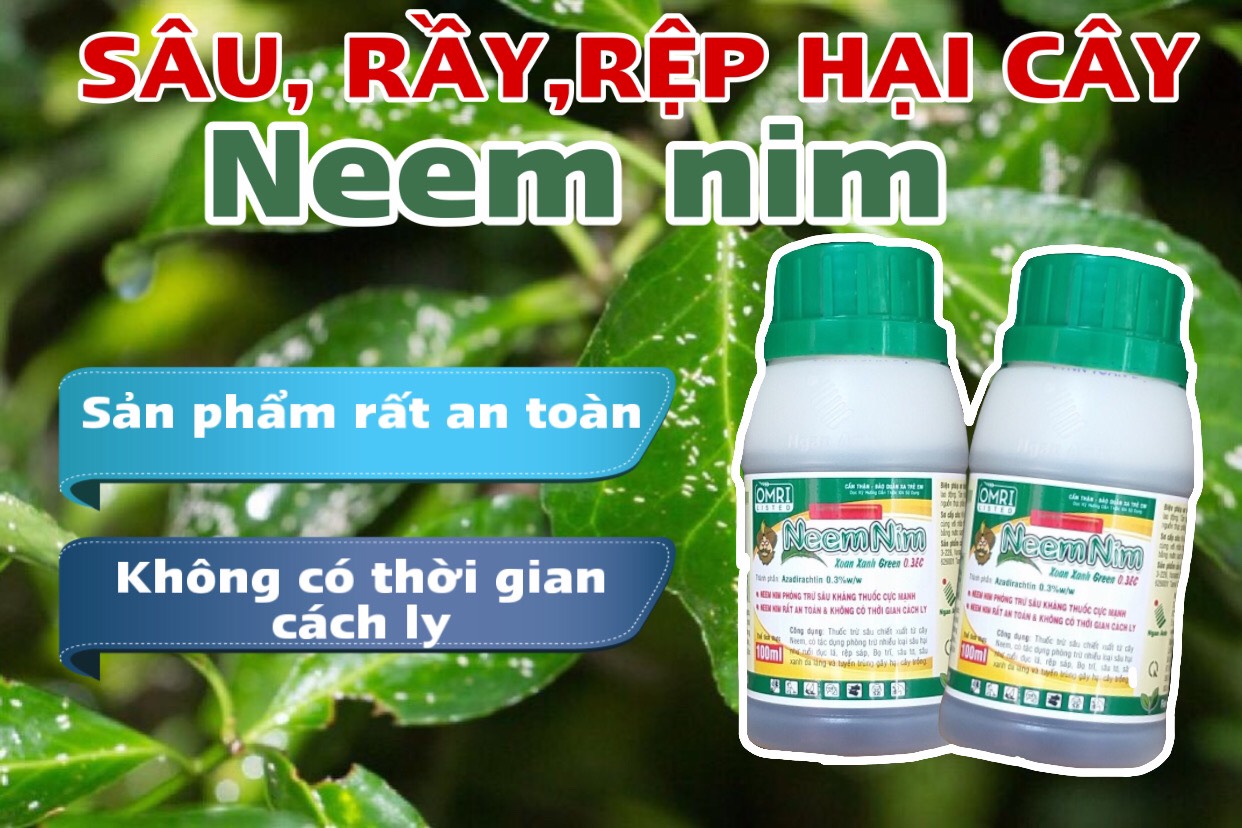 Neem Nim Xoan Xanh Green 0.3 EC- Thuốc trừ sâu sinh học - 100ml