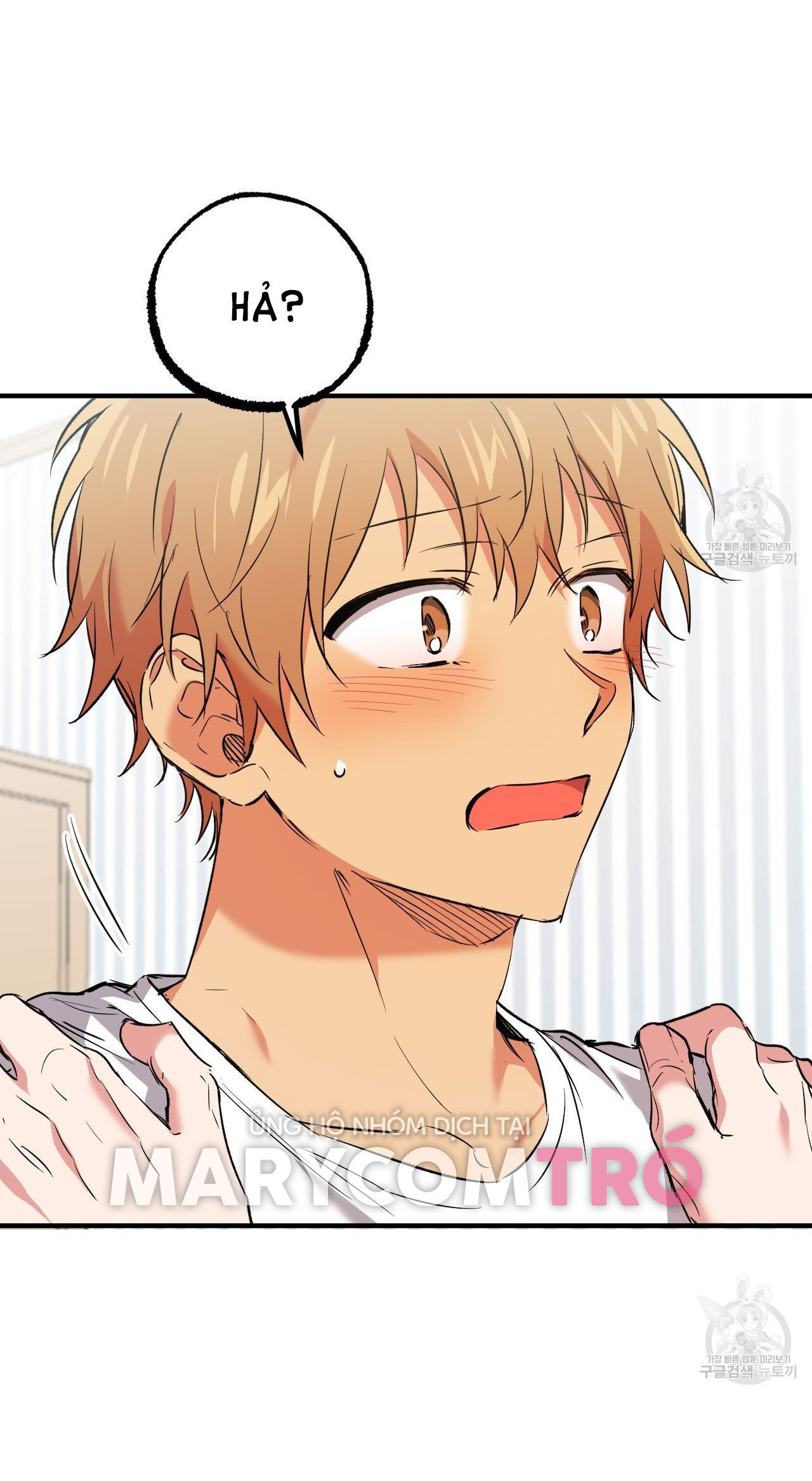 những chú thỏ của hapypy chapter 57.2 5