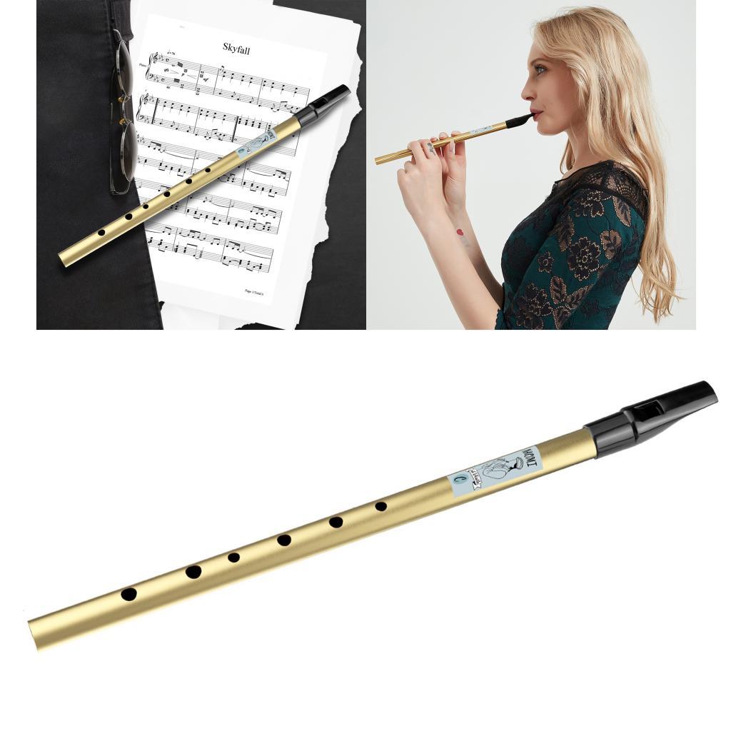 Triditional Irish Tin Whistle Flute 6 Hole Tin Penny Whistle High D Gold