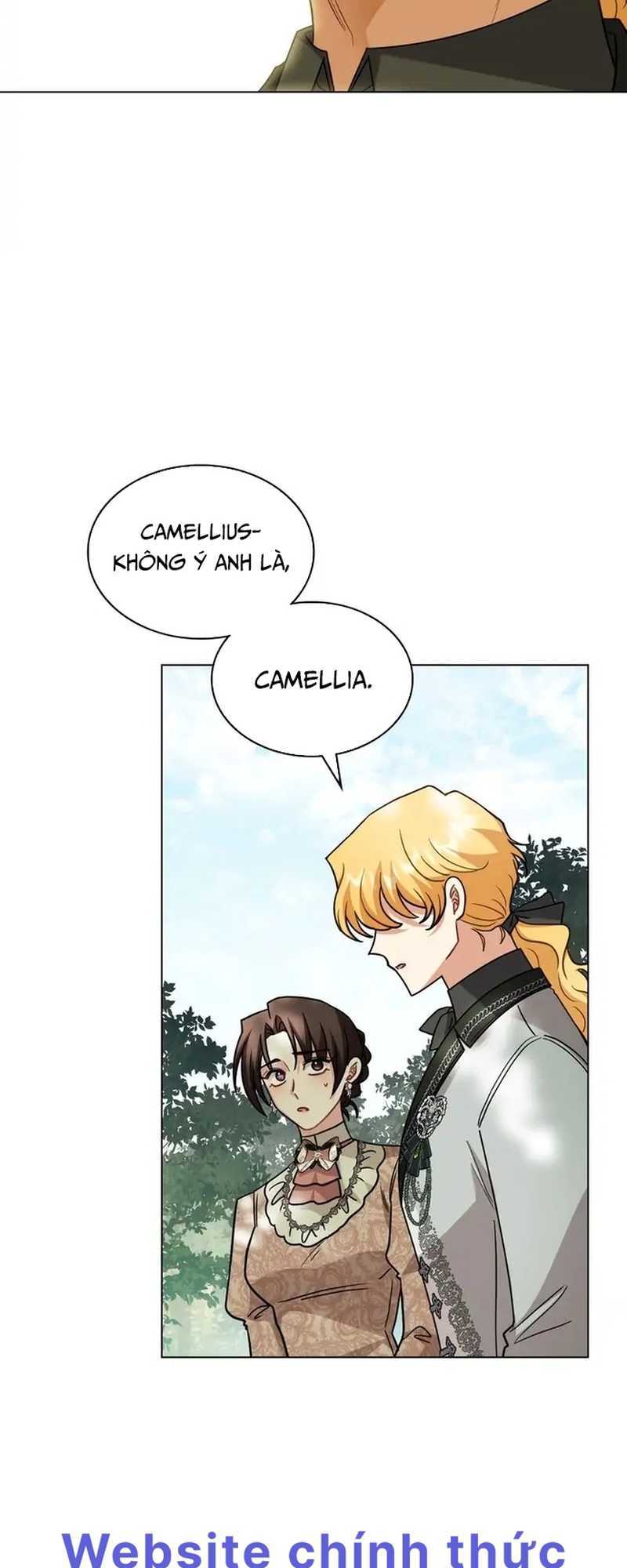 tìm lại camellia chapter 92 49