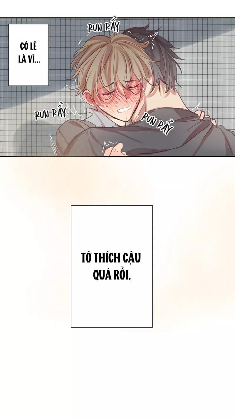 ghét cậu thích cậu chapter 35 2