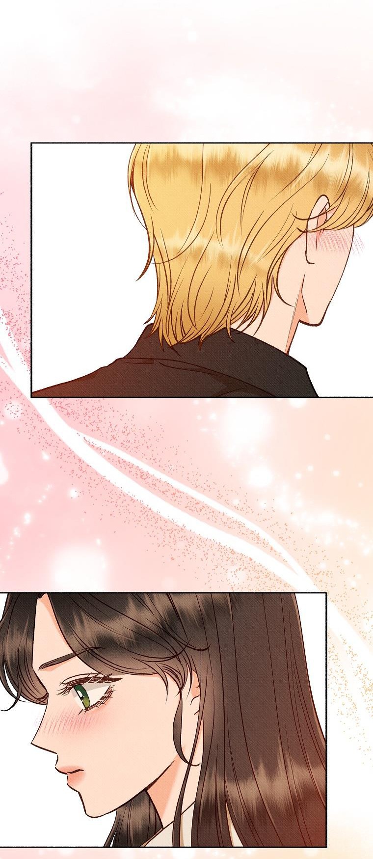 chàng trai đa nhân cách của tôi chapter 39 19