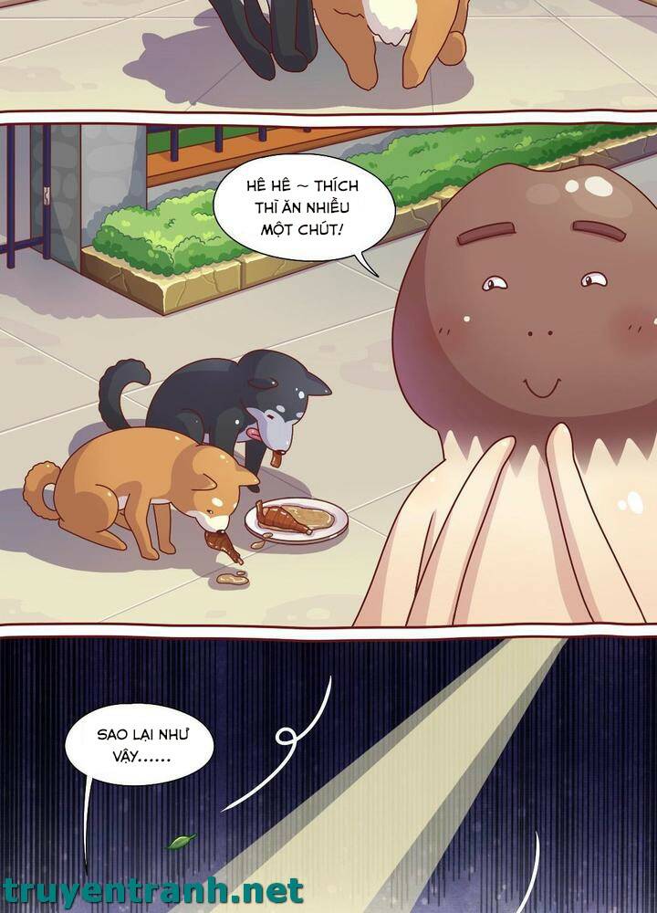 cây nấm kì khả chapter 6 13