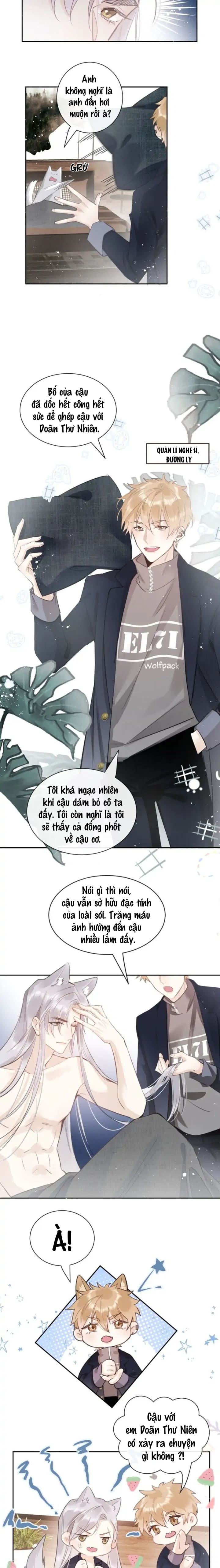 vết cắn của sói chapter 2 11