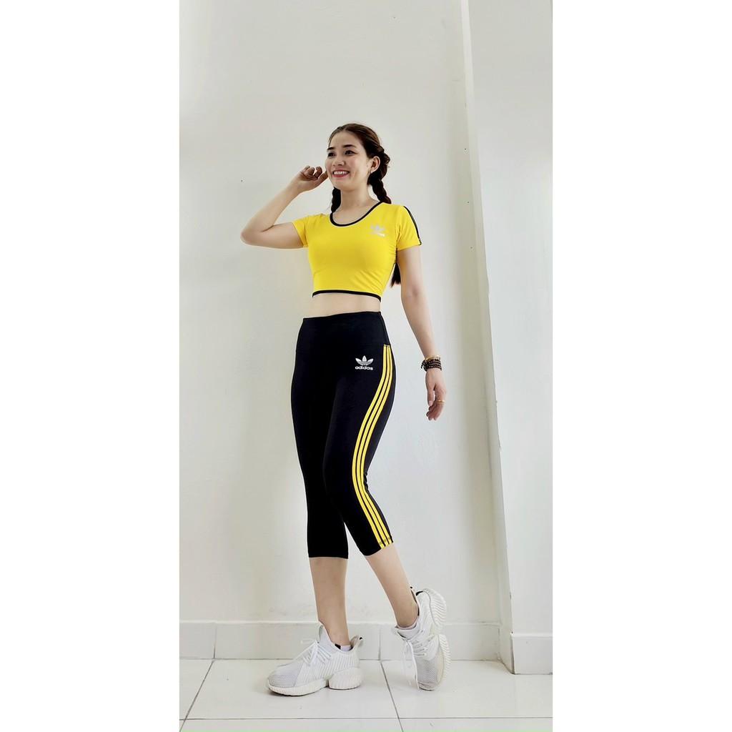 Bộ đồ tập thể thao nữ áo croptop quần lửng cao cấp tập Gym Yoga Aerobic