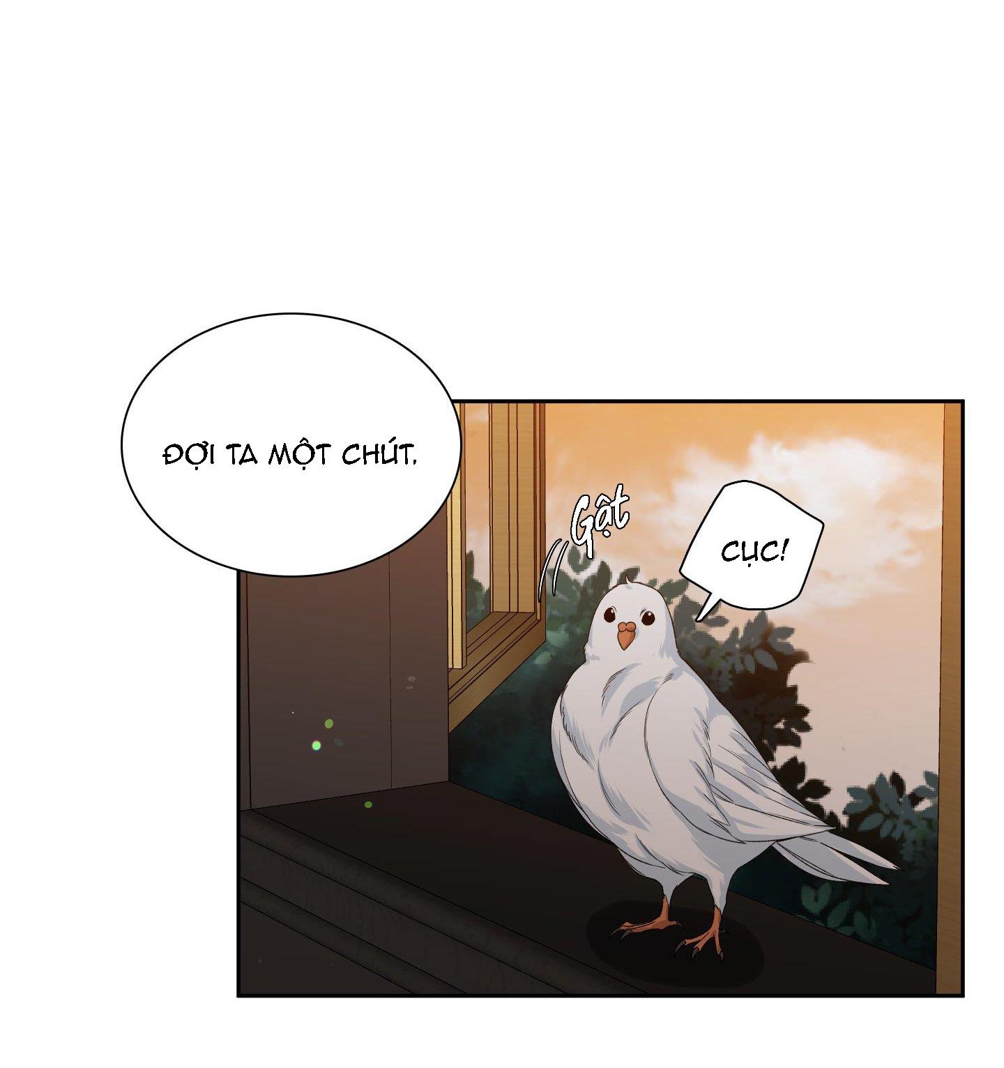 smyrna và capri chapter 20 36