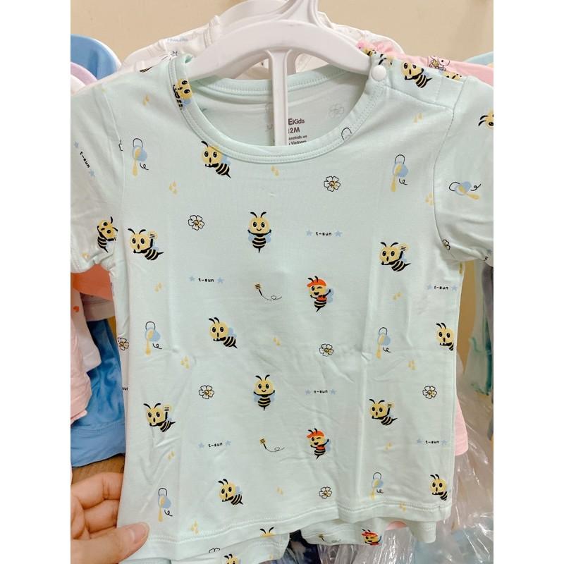 Bộ cộc tay đủ mầu đủ size ZoseKids