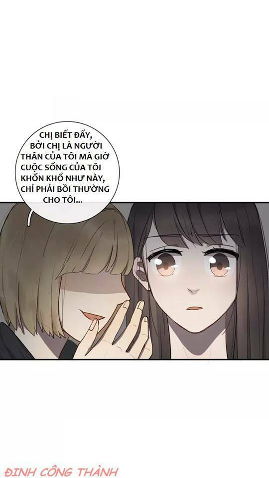 con đường màu đen chapter 8 28