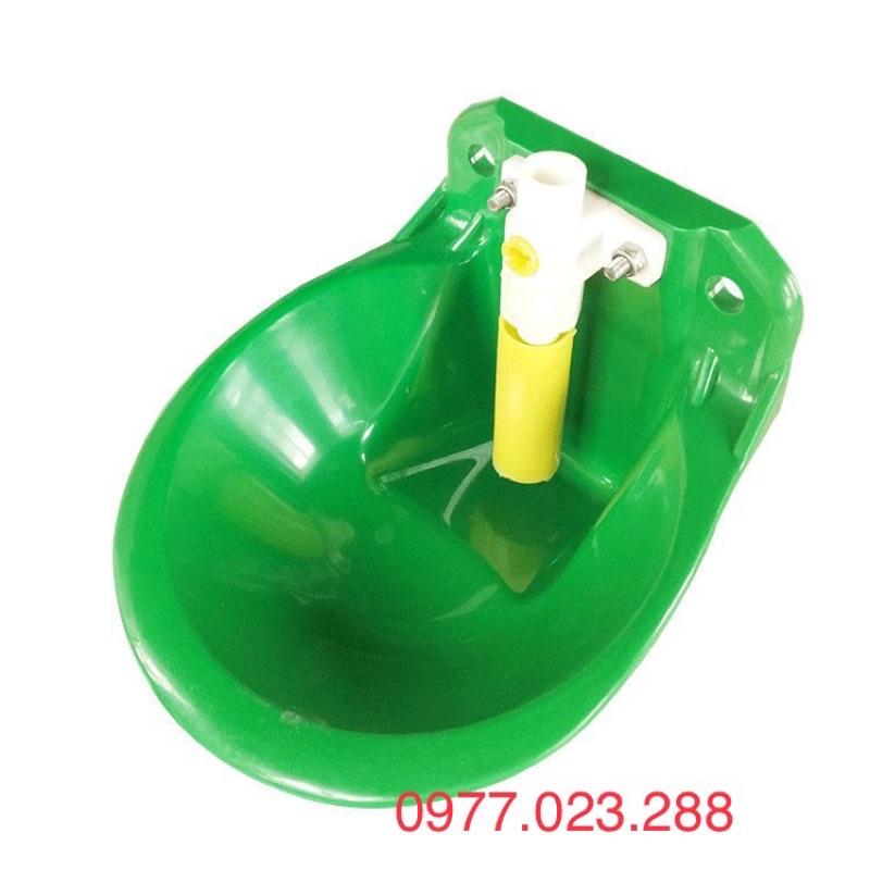 Máng uống nước tự động