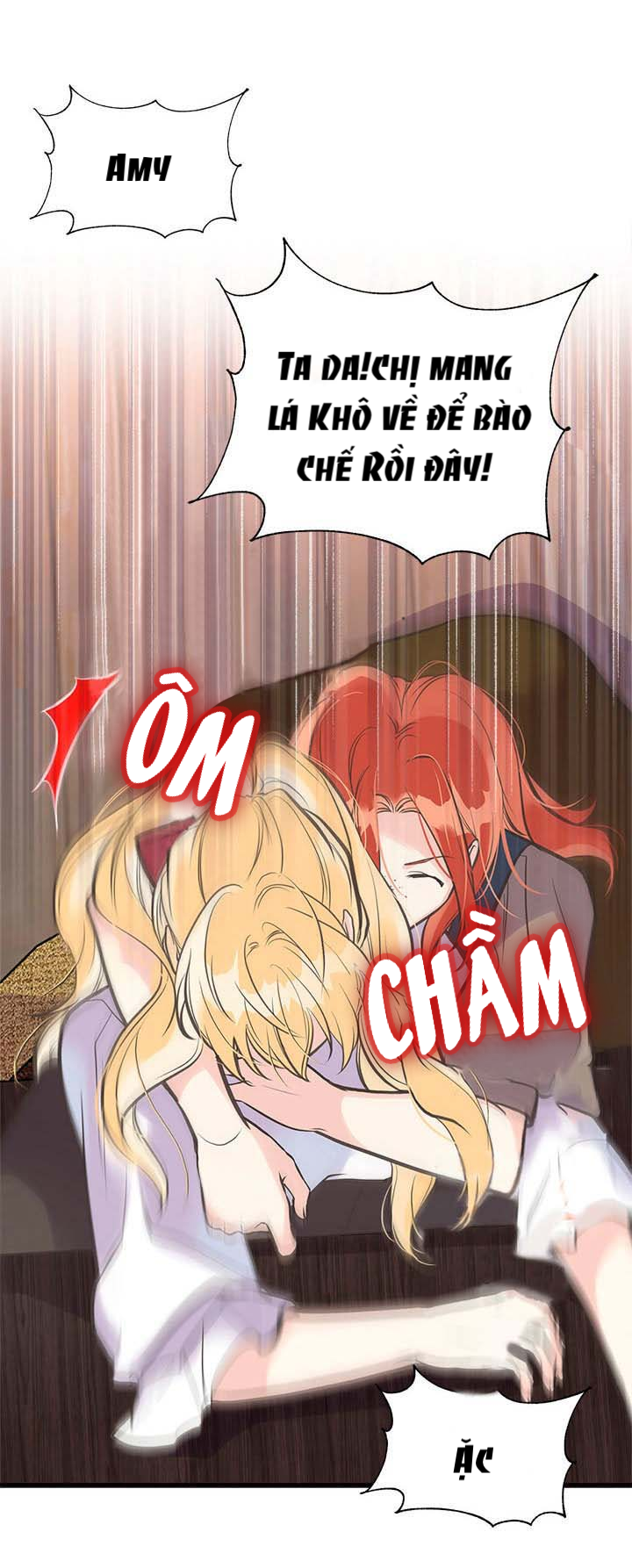 chị tôi đã nhặt về một nam chính quyến rũ chapter 27 17