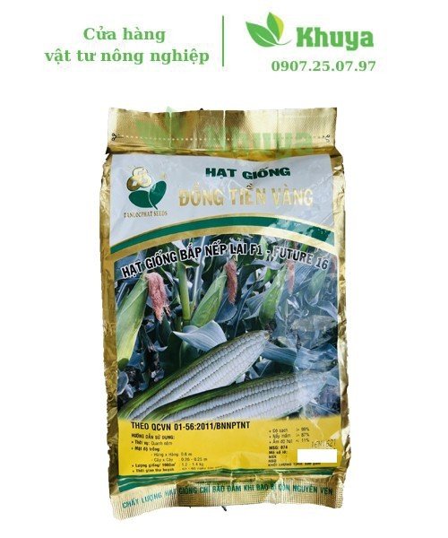 Hạt giống Bắp nếp Đồng tiền vàng 500gr Độ nảy mầm cao