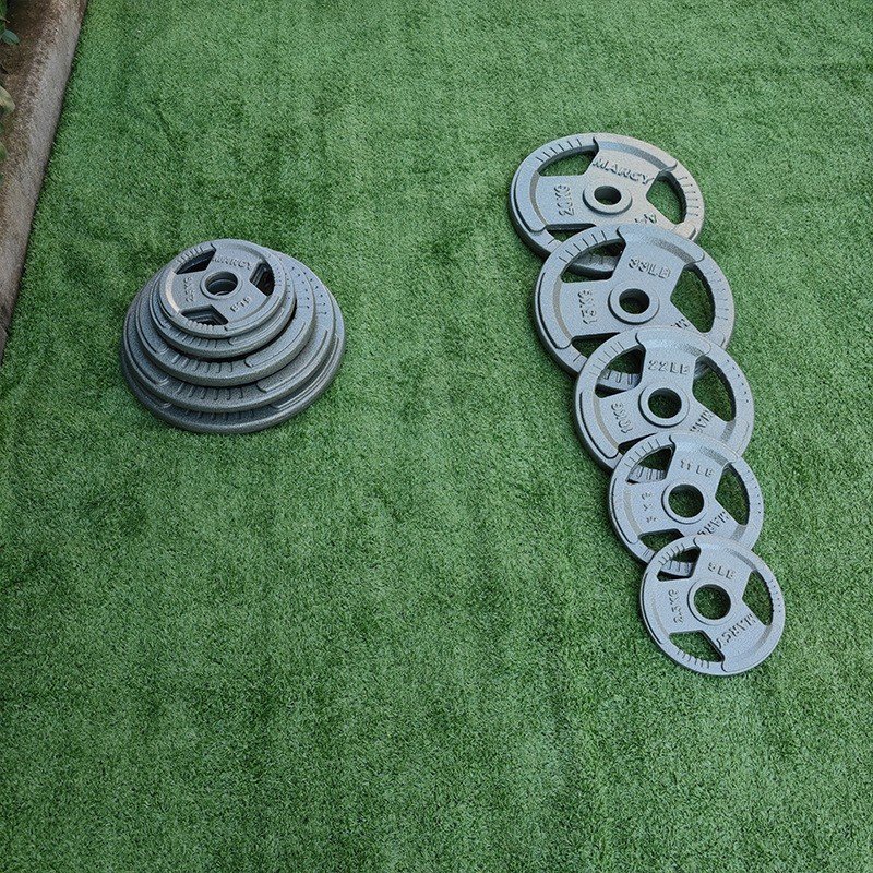 Tạ đĩa Gang bọc cao su FED-KB-10 phi 50- Loại 10kg