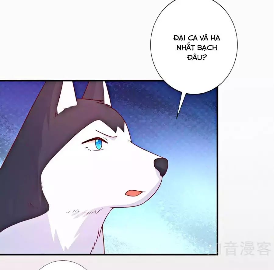 cuộc sống hào môn của vu nữ chapter 47 7