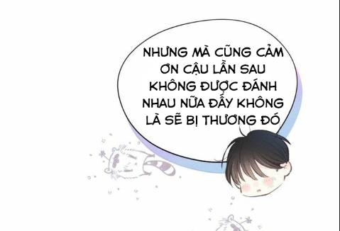 nỗi buồn của hoa cẩm tú cầu chapter 29 19