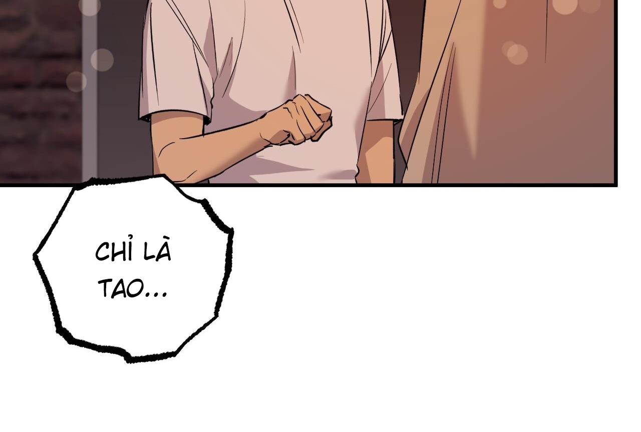 những chú thỏ của hapypy chapter 57 167