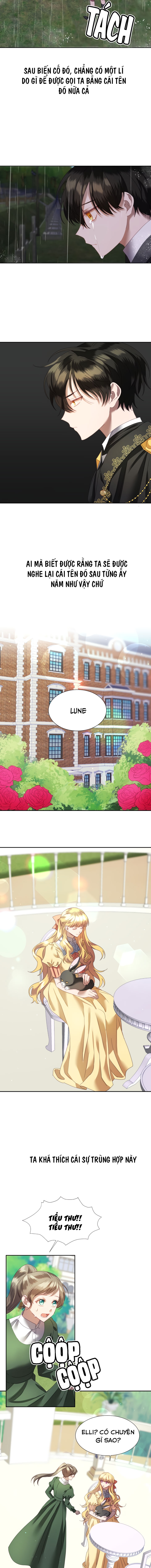 công chúa giả mạo và chú thỏ con chapter 5 2
