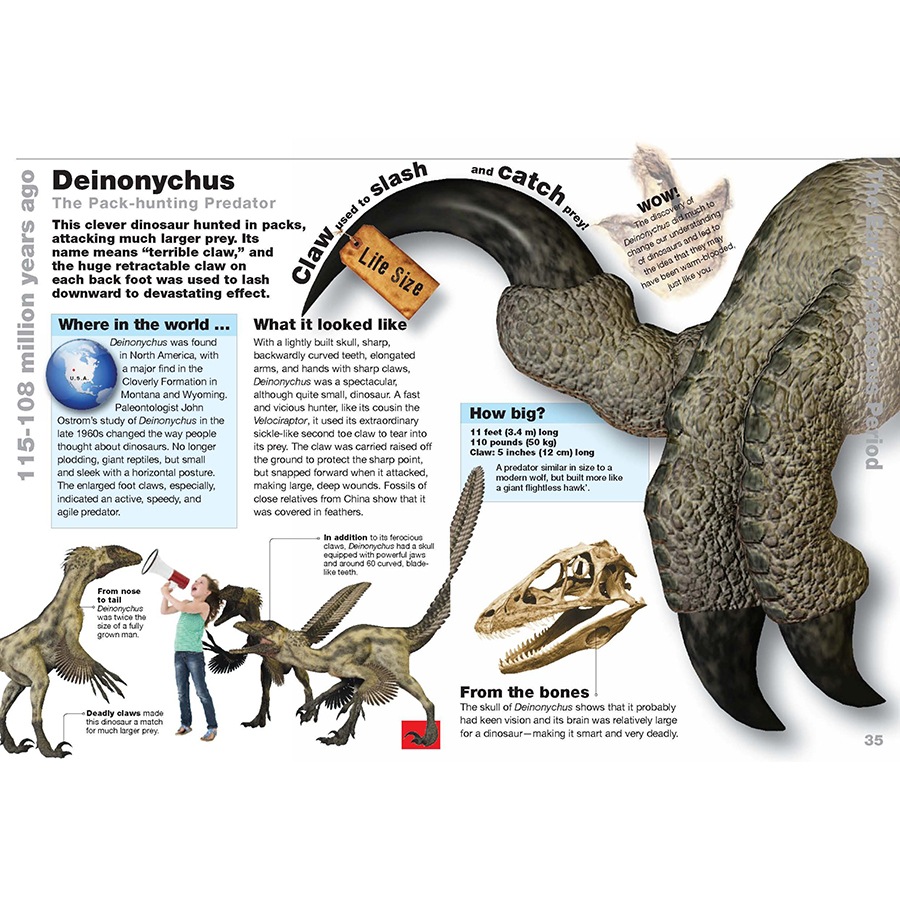 Dinosaurs Life Size: Discover How Big They Really Were