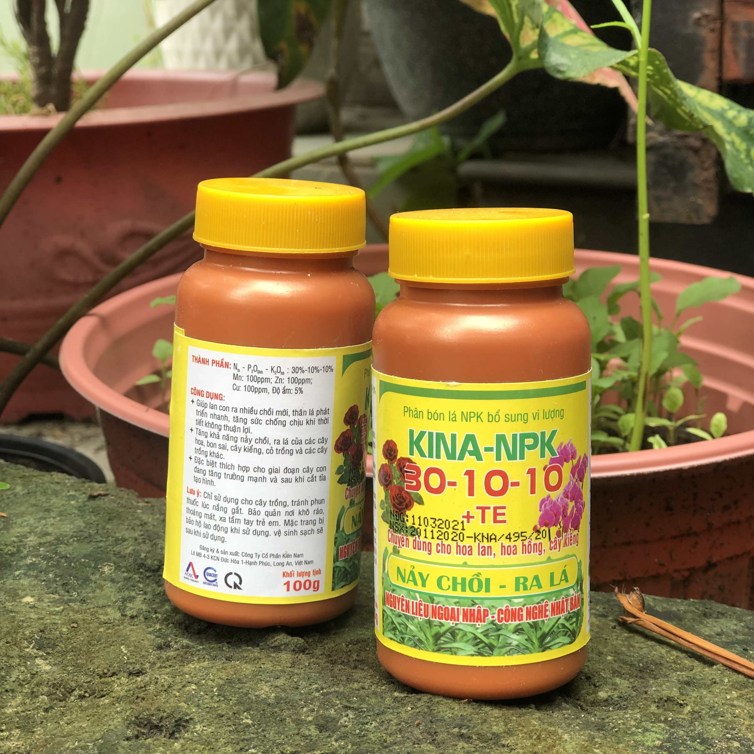 PHÂN BÓN HOA HỒNG HOA LAN NẢY CHỒI RA LÁ KINA -20 NPK 30-10-10+ TE-100g