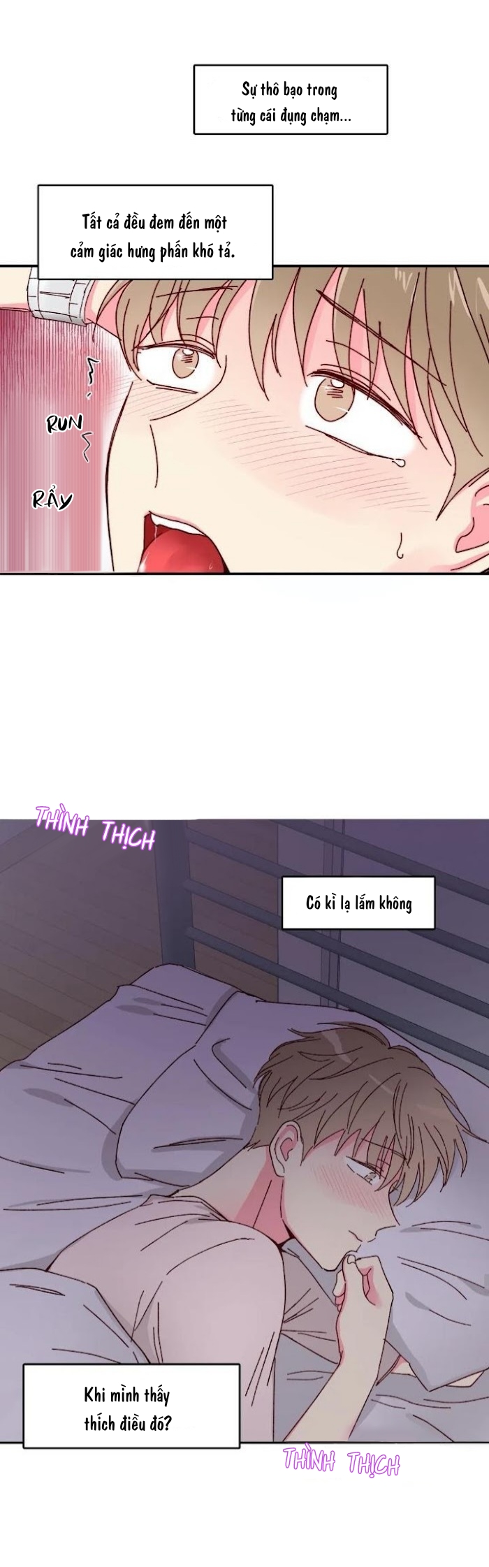 món tráng miệng của sếp tổng chapter 11 20