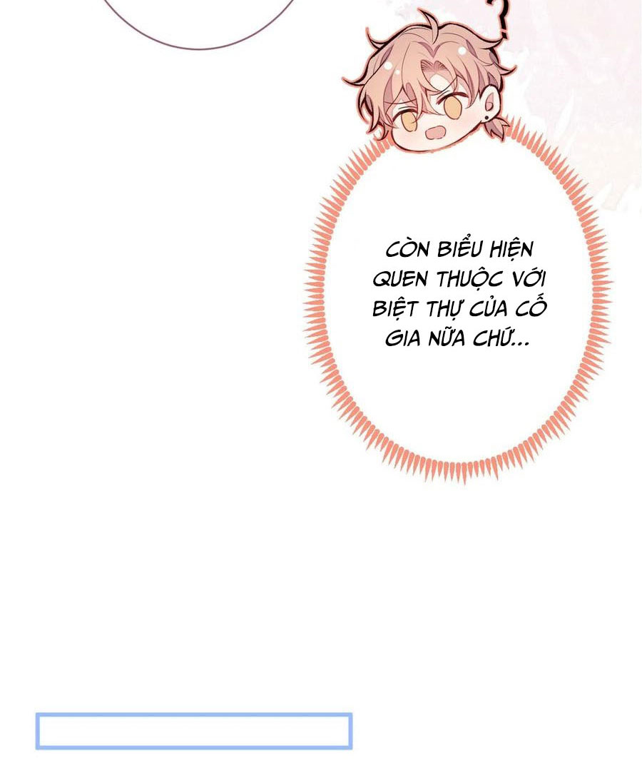 lại bị nam thần chọc trên hot search! chapter 88 12