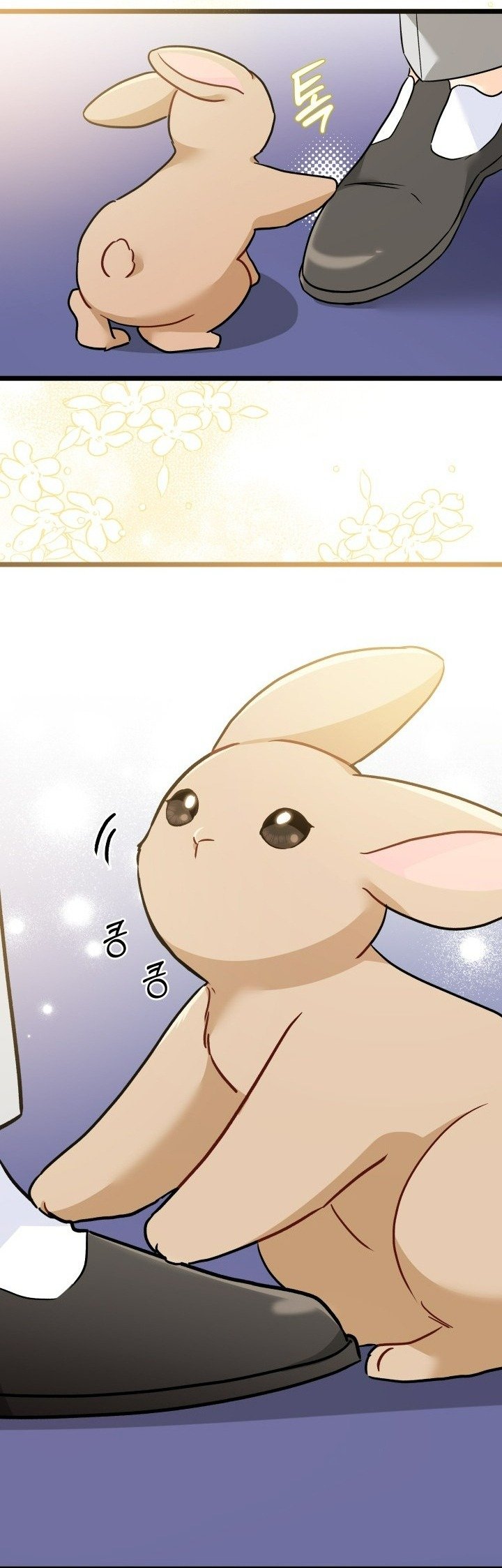 mối liên kết giữa báo đen và bé thỏ chapter 158 45