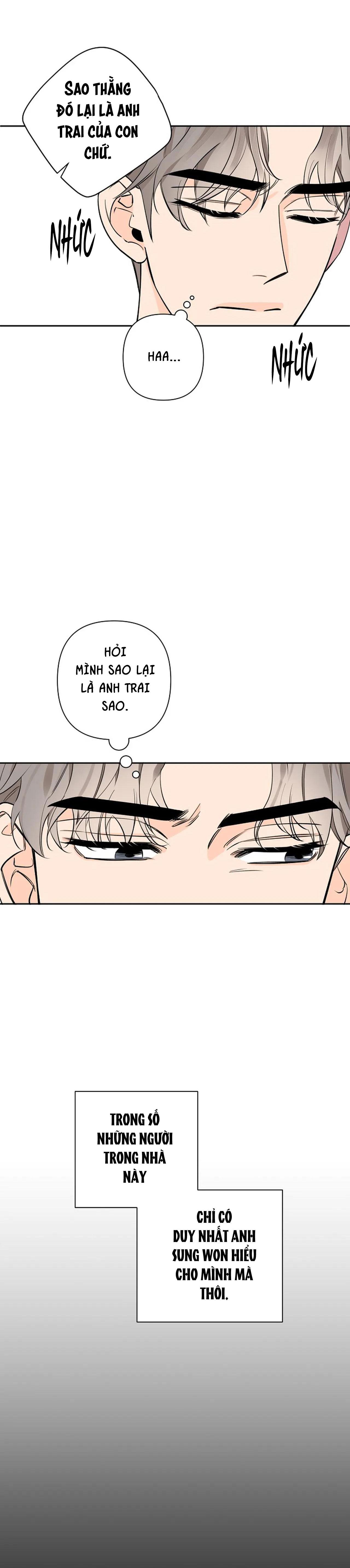 đêm dịu dàng chapter 42 26