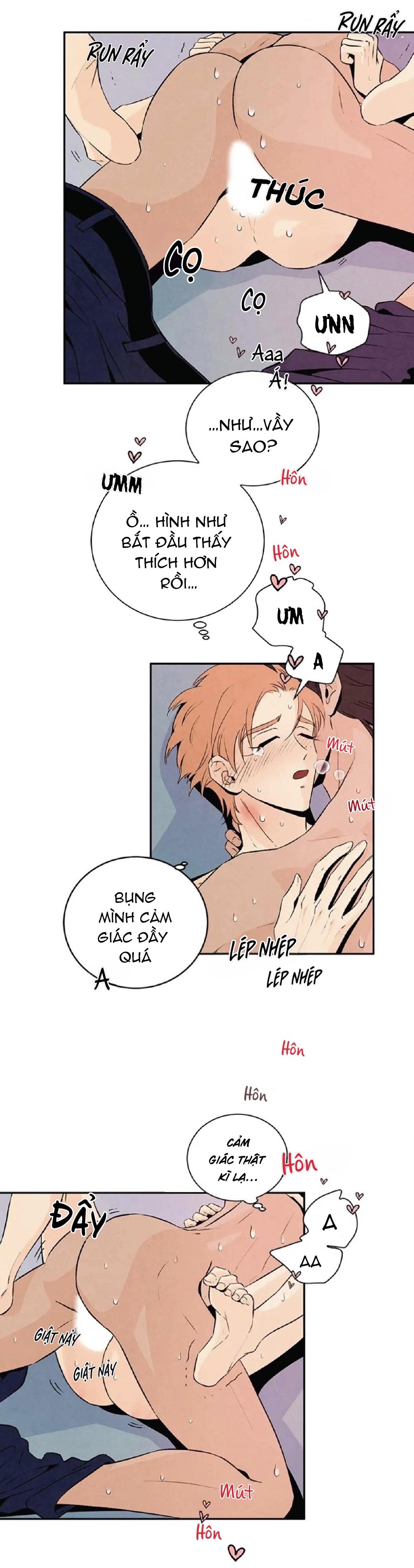 bona sort chapter 20 12