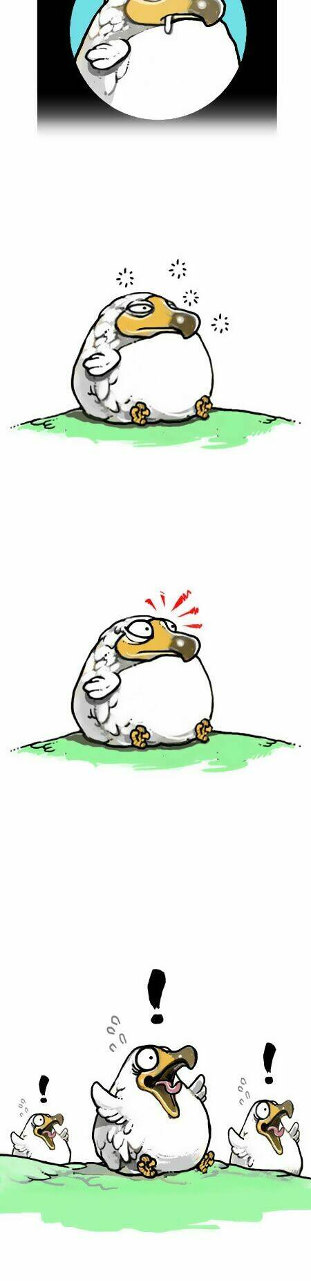 earth, human, and animal chapter 5 8