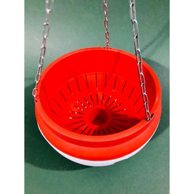 Chậu Treo Thông Minh, Chậu Treo Tự Dưỡng - không sợ thiếu nước - Smart Hanging Pots, Self-Hanging Hanging Pots