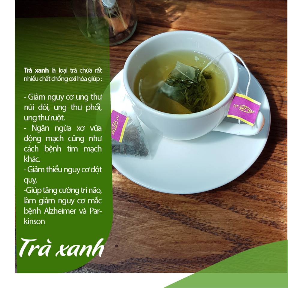 Trà Túi Lọc O-tea - Trà Xanh Cat Nghi Tea