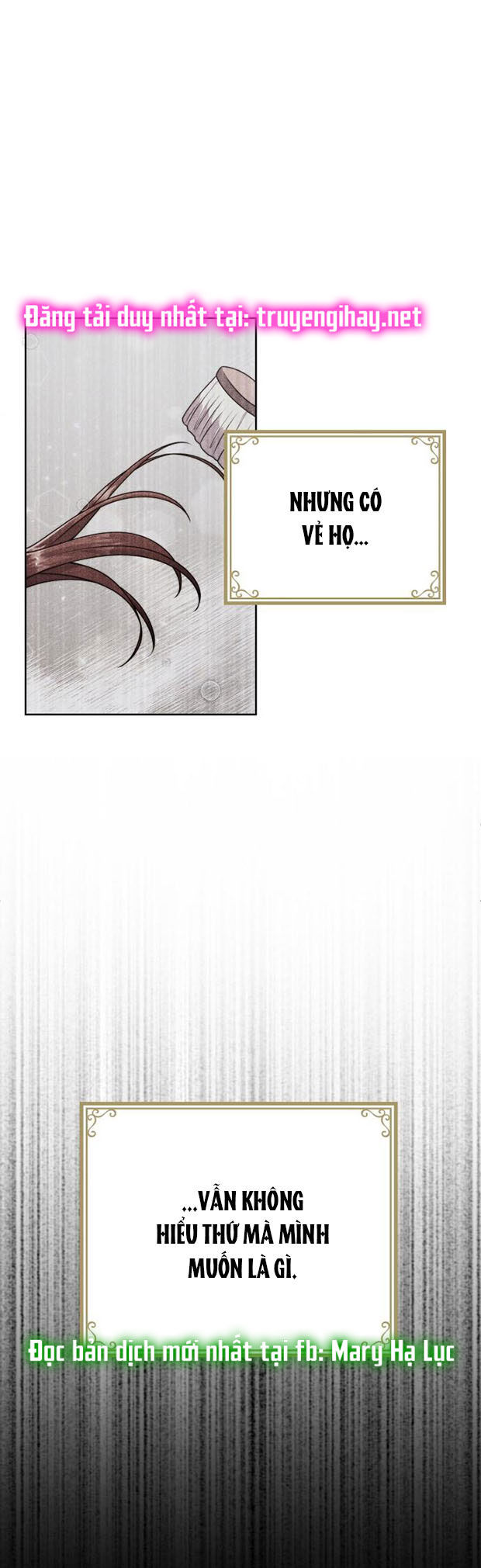 tôi sẽ ly hôn với người chồng bạo chúa chapter 6.2 17