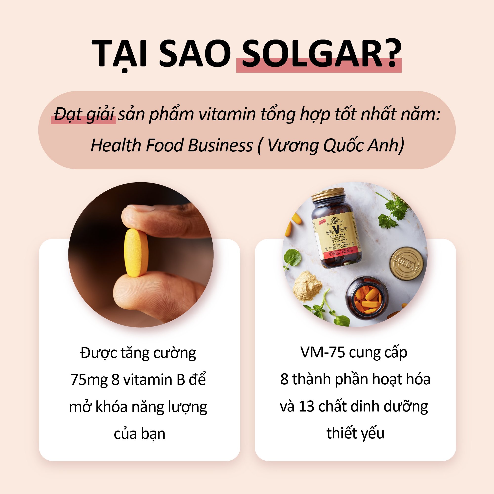 Viên Uống Solgar Formula VM-75 - Chống Oxy Hóa, Bổ Sung Vitamin Và Khoáng Chất, Tăng Cường Chuyển Hóa Năng Lượng 60 viên