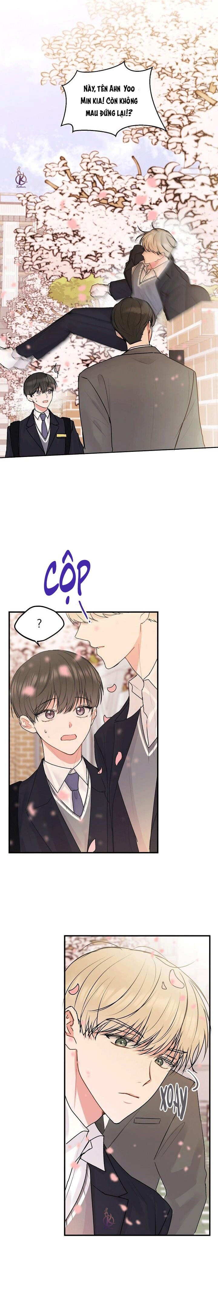 tiền bối, đừng khóc mà! chapter 36.5 5