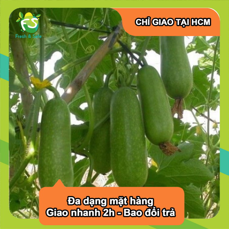 Bí đao - 500gr