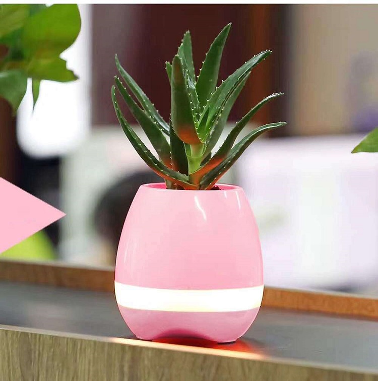 Loa Bluetooth Kiêm Chậu Cây Cảm Ứng Phát Nhạc Trên Lá
