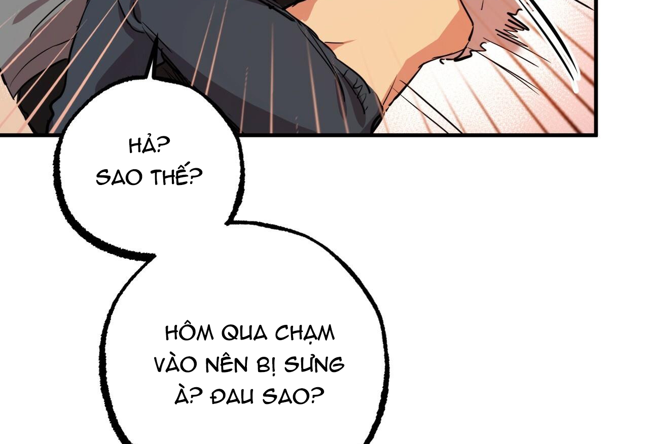 đàn thỏ của habibi chapter 28 200