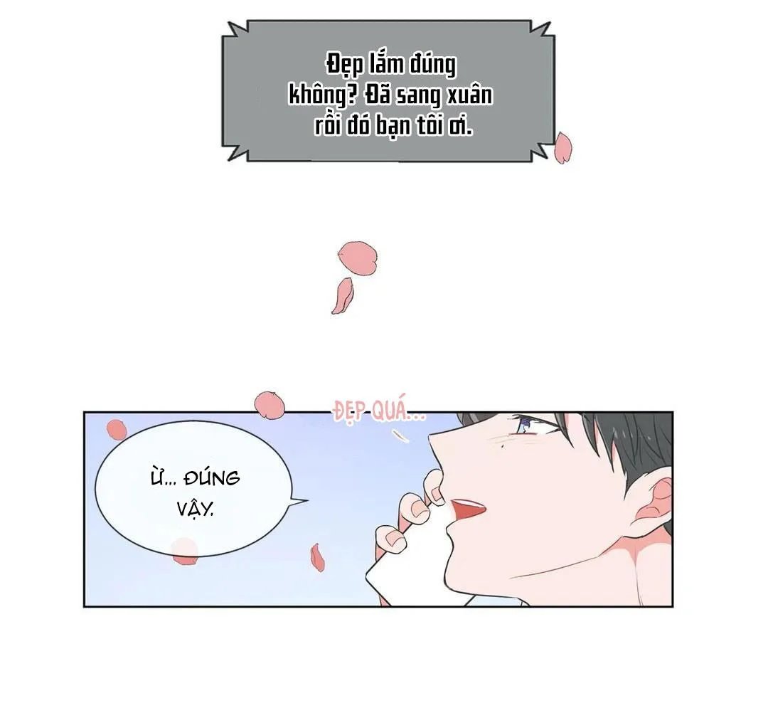 anti p.t chapter 32.5 2