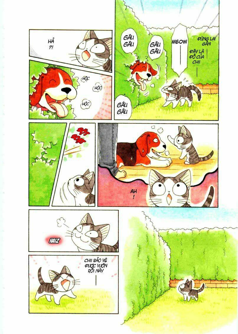 chi's sweet home chapter 69 7