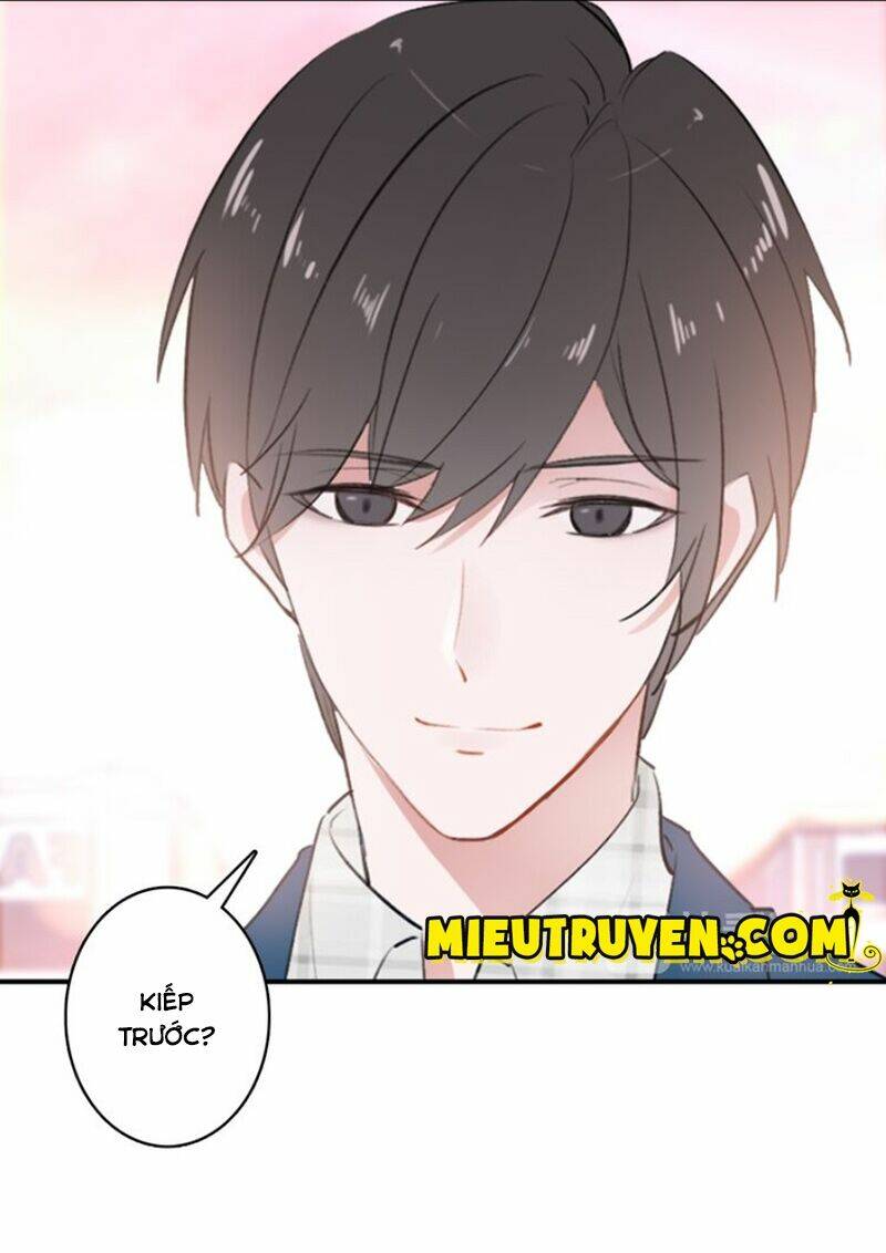 nhất sinh nhất thế mỹ nhân cốt chapter 8 18