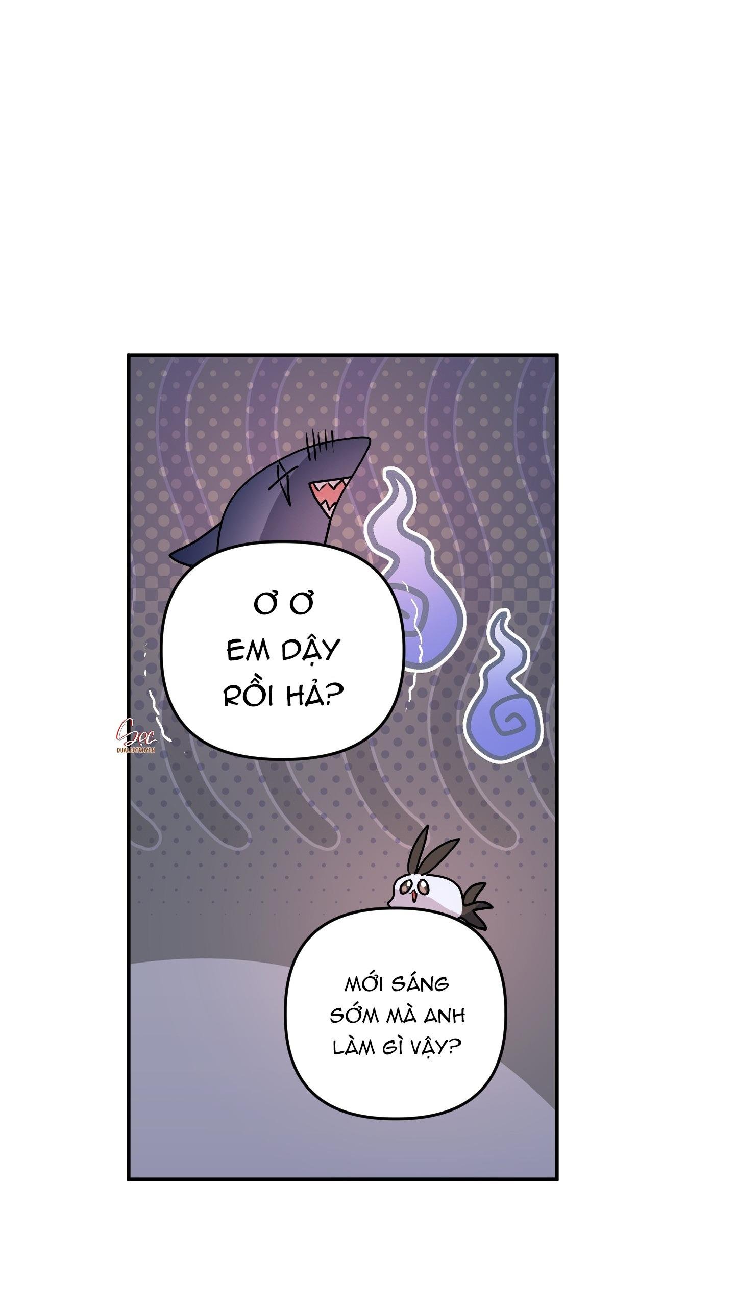 cá mập và cô dâu thỏ chapter 52 11